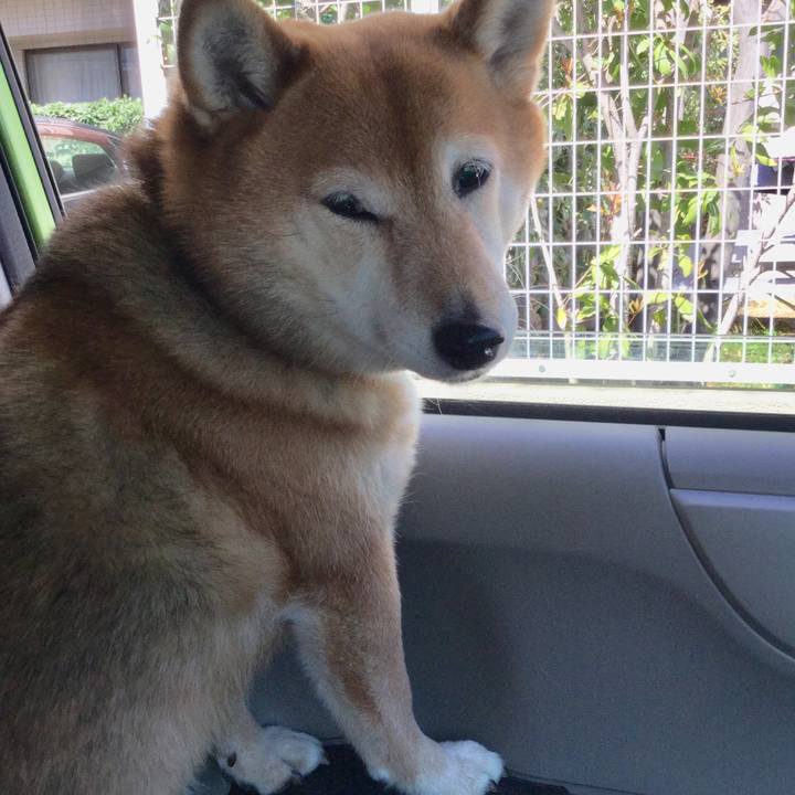 5057b054 eb8a 4493 9cab 53cac61ff774 1585117956661