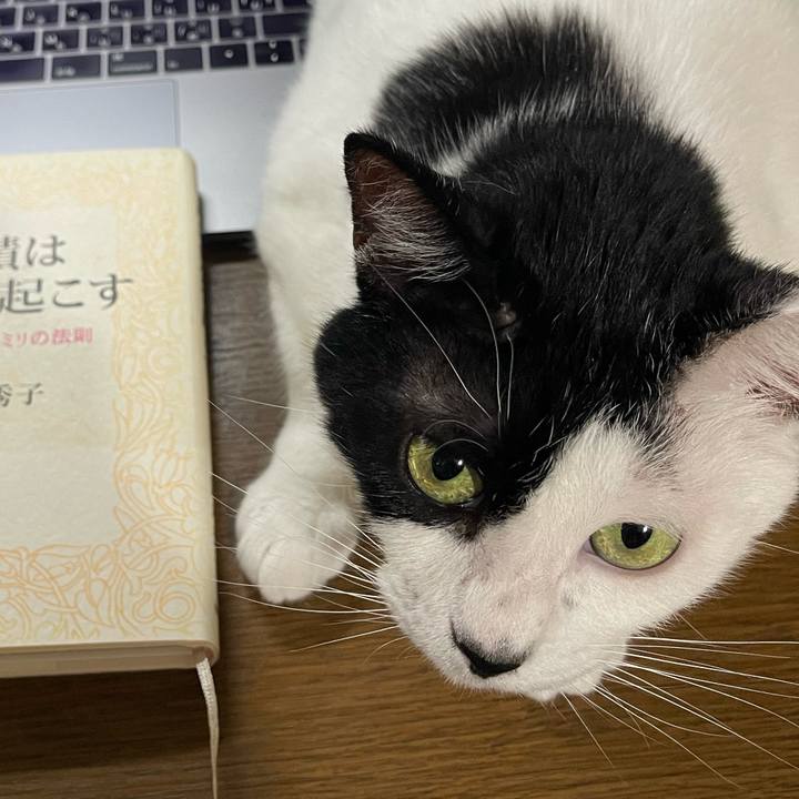 5057c366 a868 4508 b777 ac0e4e092560 1756767490485