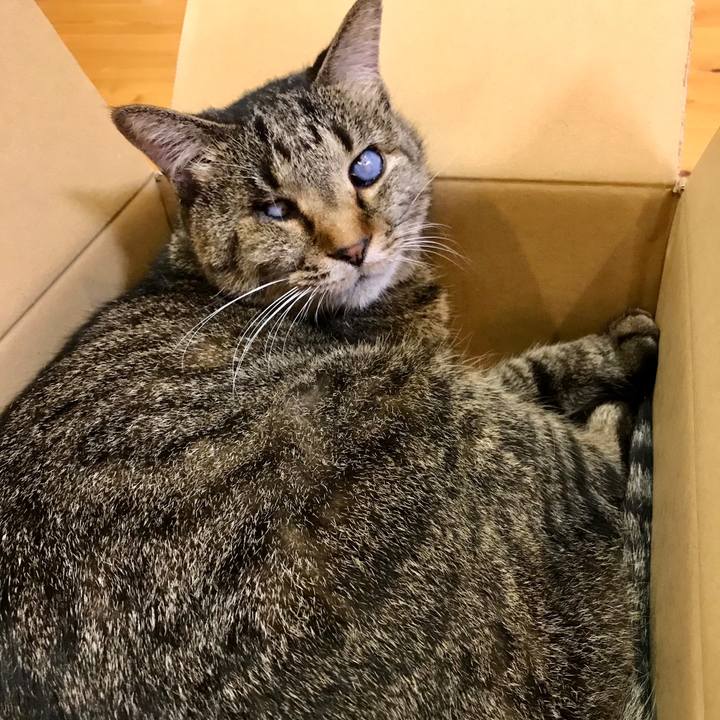 5057dae2 5015 4cf4 a7cf d90a8dea9457 1591964988004