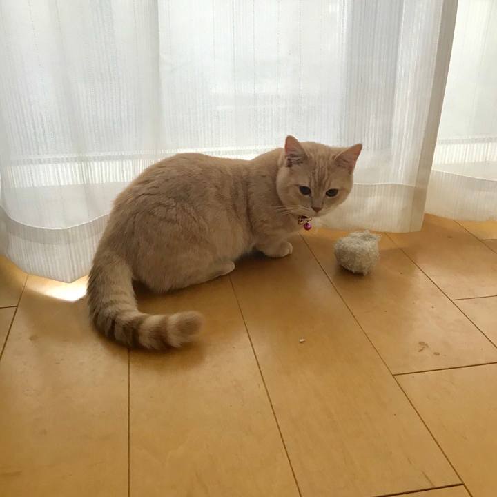 505807f6 a7ca 4df6 8e75 81573cac5af0 1519261054890