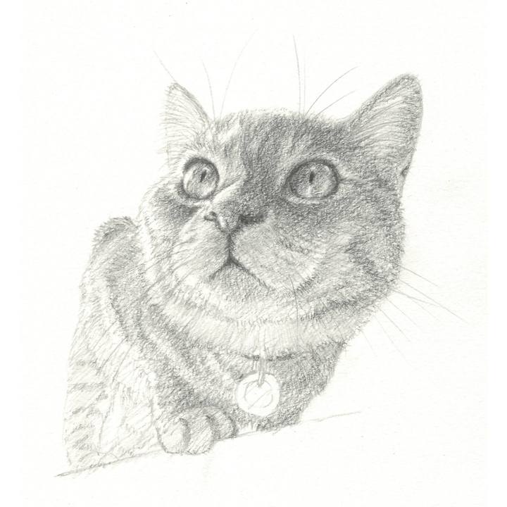 505812d1 4aca 4c52 83bc a3922b63547d 1539435922909