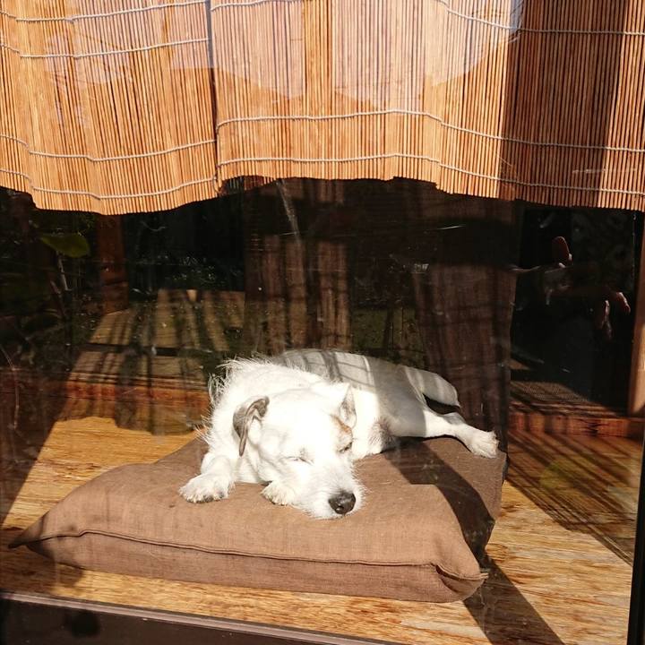 50581b6f 8168 4e91 a695 cc0c8ec882ba 1552001424396