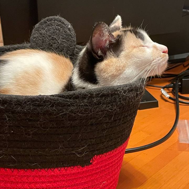 50582fb1 6b1c 4a72 b978 c58def6f96bc 1748914116091