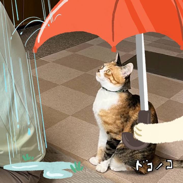 50588e47 8bf2 4be9 a5d5 57d15d4fc5ed 1749421391274