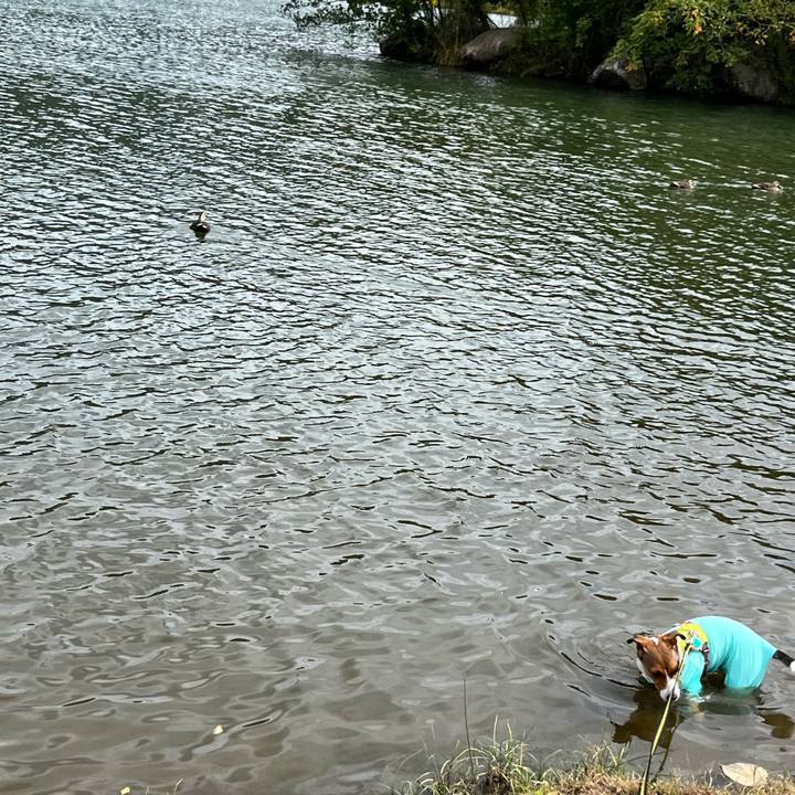 505897f0 d877 4ac4 b534 2edb608d2e4a 1760339496526