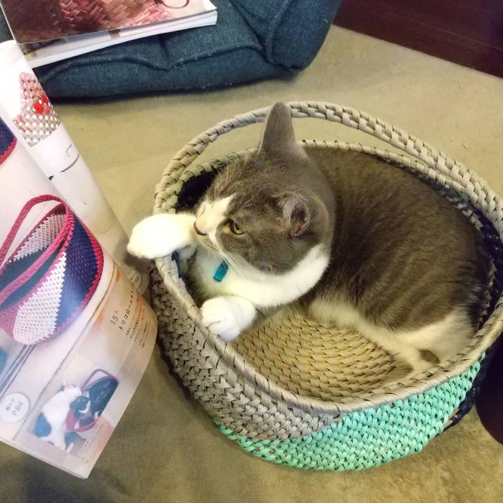 5058c6fa d992 4e34 a9fb fc5cac7beb26 1625188830506