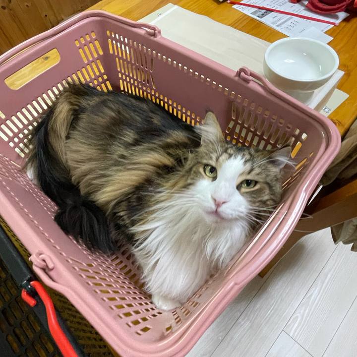 5058df0d 66bc 4027 b624 761e3f65b579 1678483270850