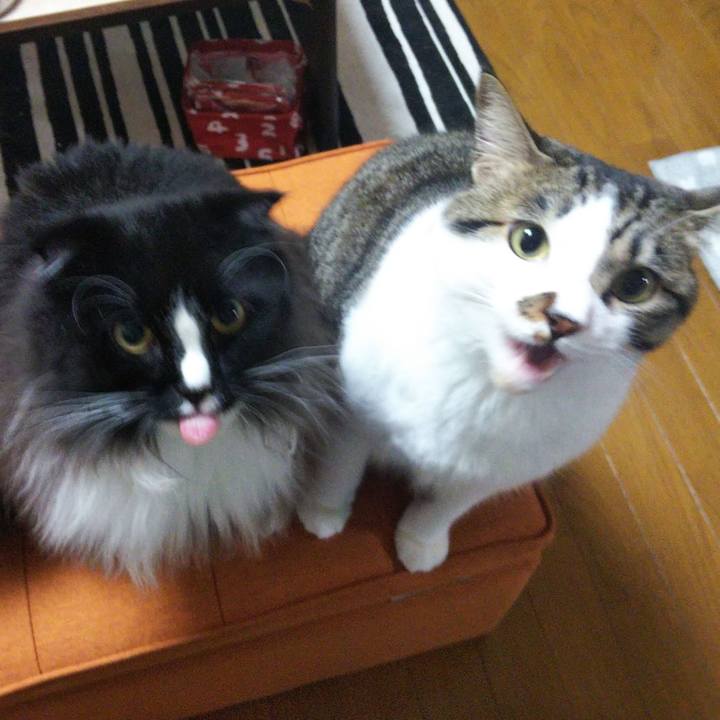 5058ea84 bf2d 4a25 8777 17e3aaedcdc1 1658068922794