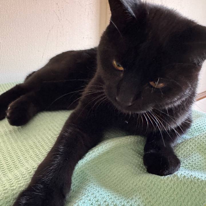 50590278 cc0f 4c50 94aa 2f60633b73dd 1765325325285