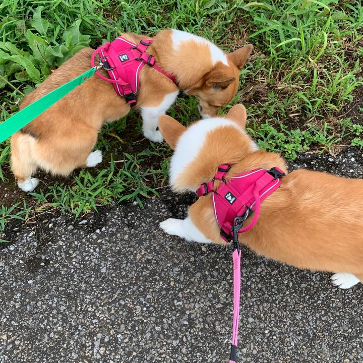 50593da5 da97 452f b265 afad309c2b12 1627082376916