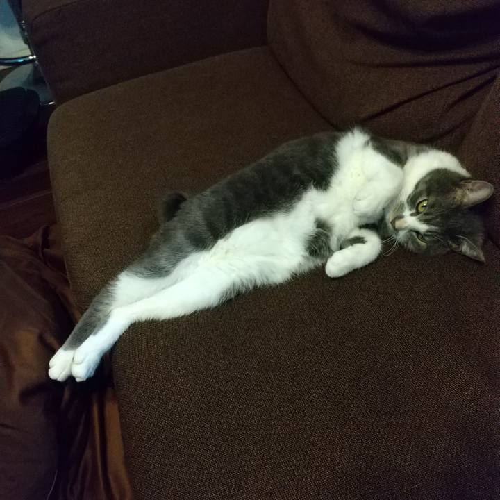 50598ab8 16e8 45f4 a31b ecf1b5e3bc53 1602734916760