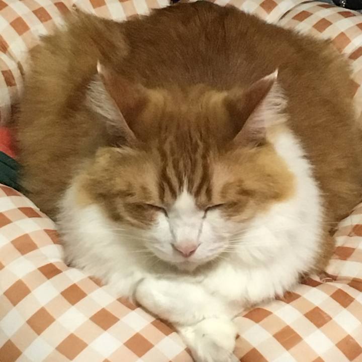 50598f5f a5ec 4bba b1e0 04b5555d86e6 1509616439175