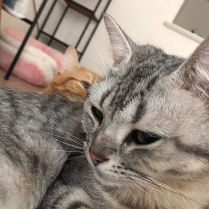 5059b105 d724 4d33 b226 14638d398d80 1526336930734