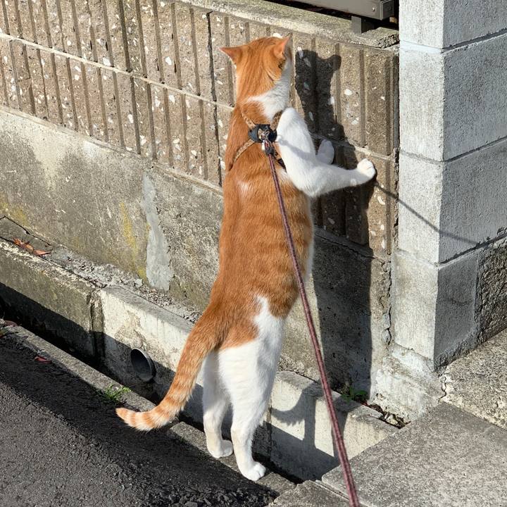 5059b723 74b8 4b53 99ad 936bdd0217f3 1619823135616