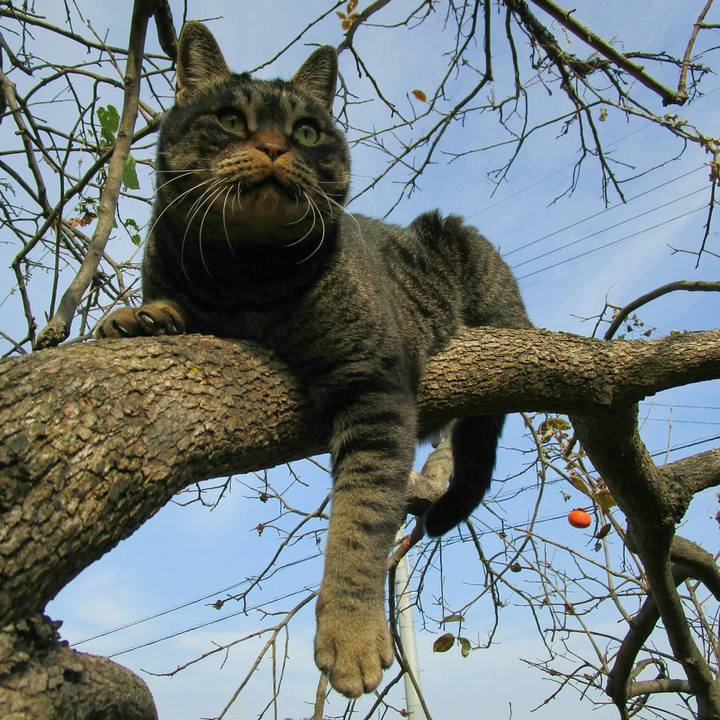 5059cdc9 92a2 47ad badf 9d4cac448367 1510925449379