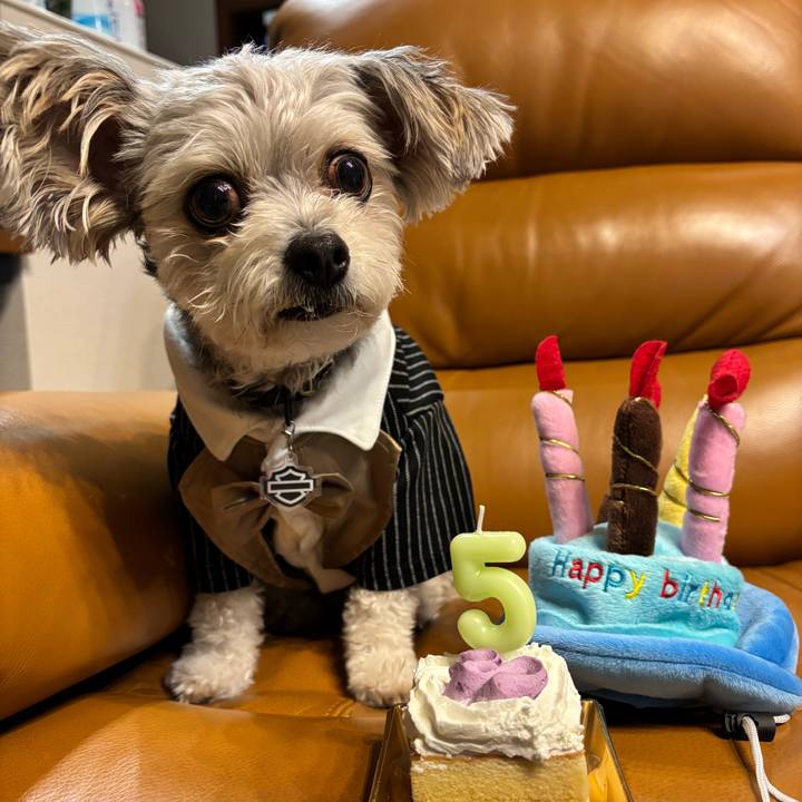 5059e5a4 3708 4ec8 8eb5 4fd8ec4e159d 1768735992021