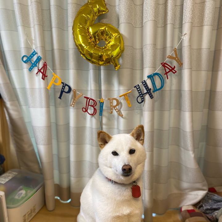 505a1557 7f27 488b 8bdd 8507d57e04b9 1657870394570