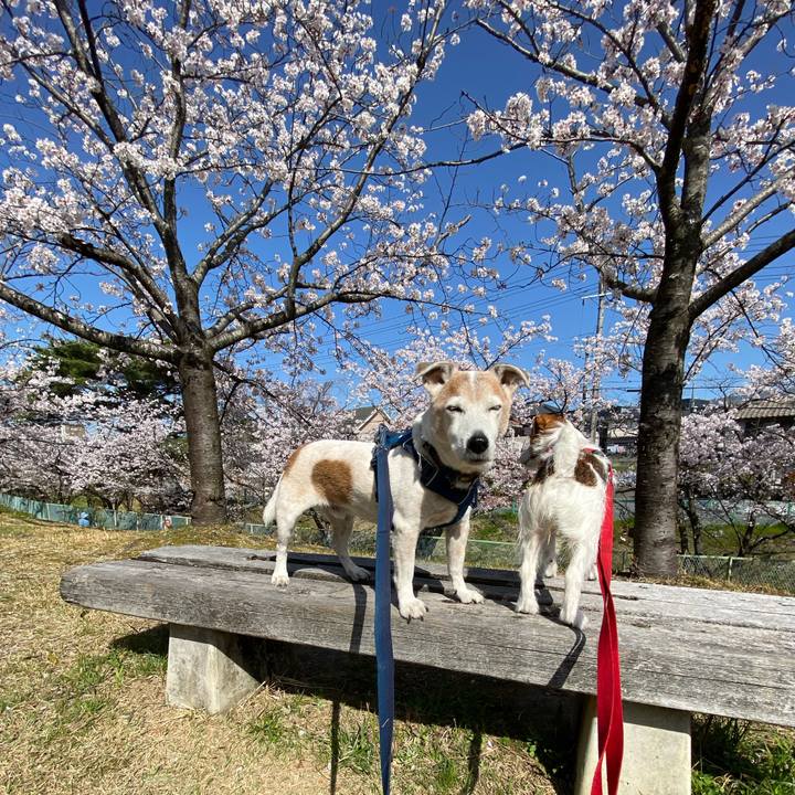 505a893c c9cf 412d b2da 448ab3f88da3 1649161223606