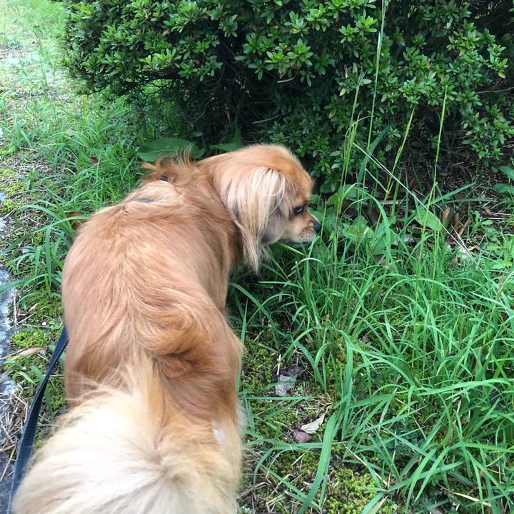 505ae665 8b52 41cf 937b a54afcdae71a 1539554600511