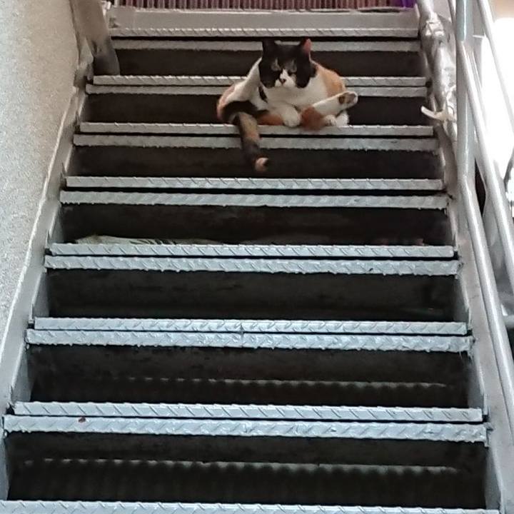 505b11f6 fe1f 413d 872e 35a5c7d9158a 1639290859983