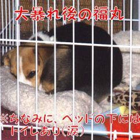 505b2394 52c3 4981 8365 89d182c5c0d8 1552290638127