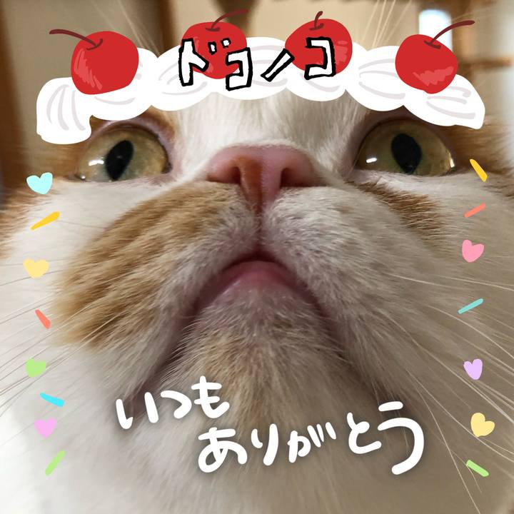 505b66cc 4caa 4a51 ba6a a1eb432dec21 1685933050162