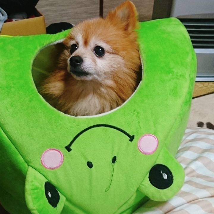 505bbfad 6763 4e40 bcc4 2a6c8ffc754d 1546869547101