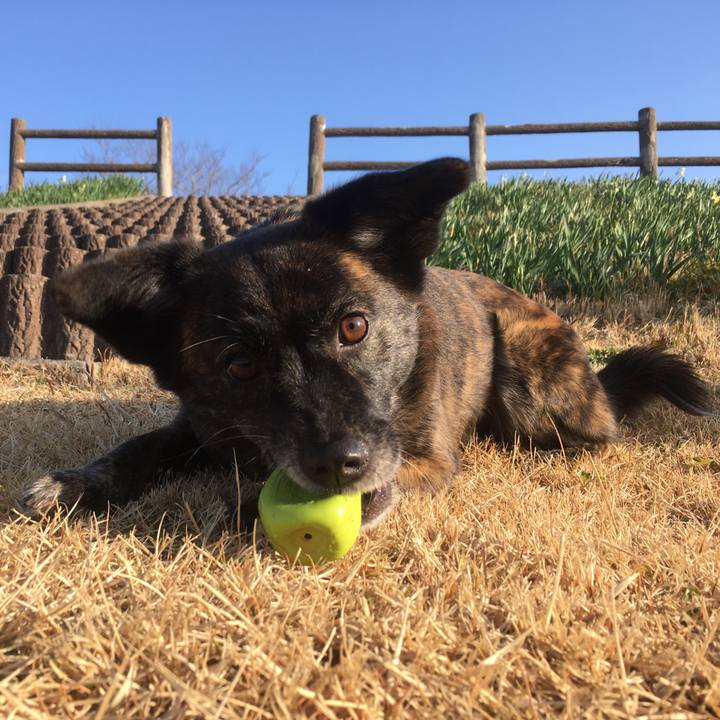 505bcab7 654c 4c27 91e5 ca467bbce1b3 1515553675684