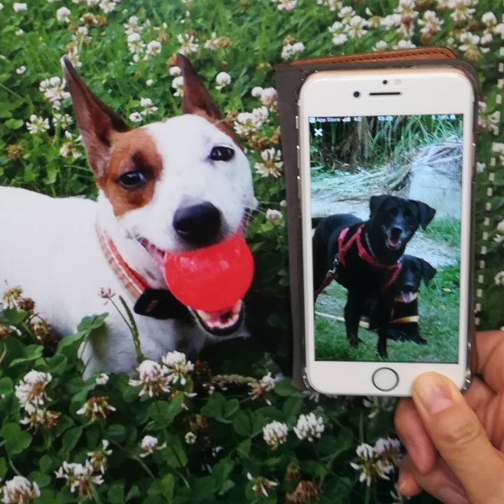 505bd18a b96d 457e a259 16b5a8f917e9 1527552508336