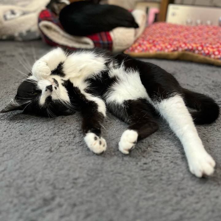 505bdfa5 e866 487c b524 df87257a0e6b 1674105391026