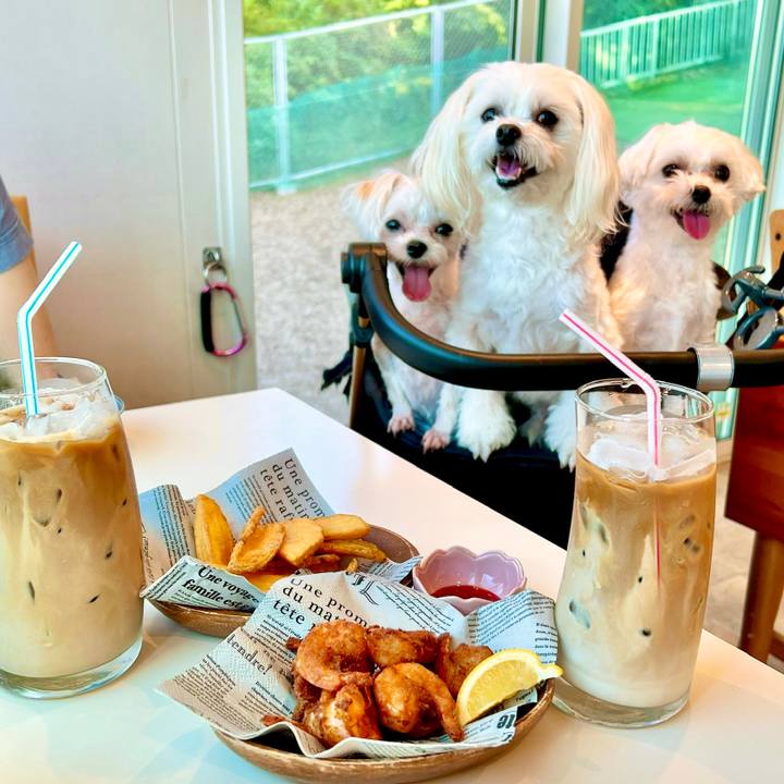 505c08d2 d4c2 4bfd bf3a a94bc3797de4 1653813588904