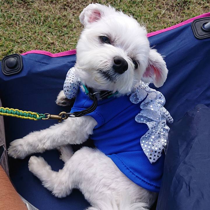 505c50c9 b559 4acf a66f 01b39b164fb9 1539220995372