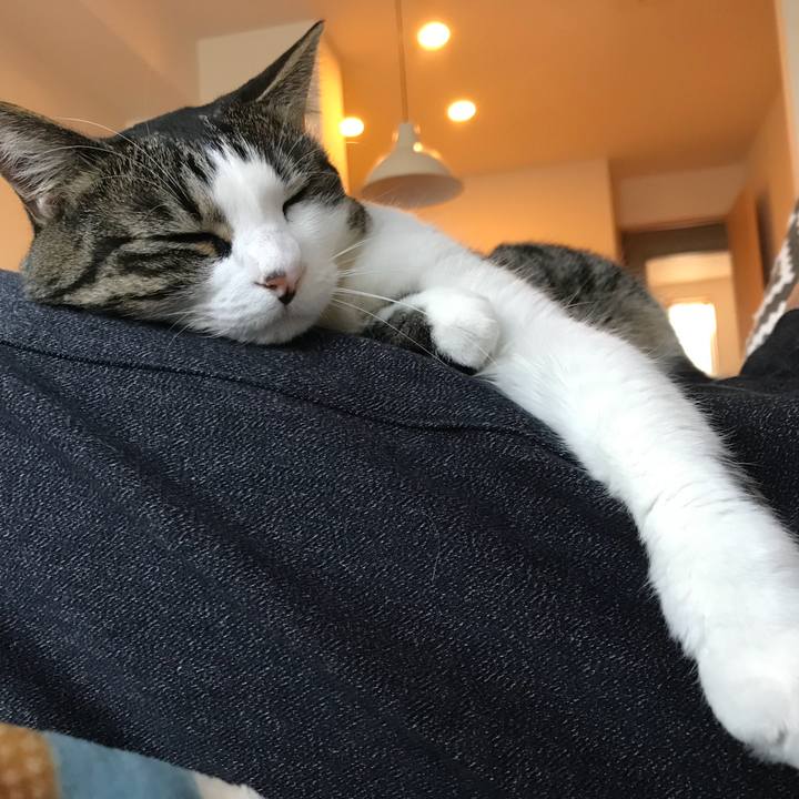 505c73e8 5c87 404d a3da acbde808fabe 1550389717220