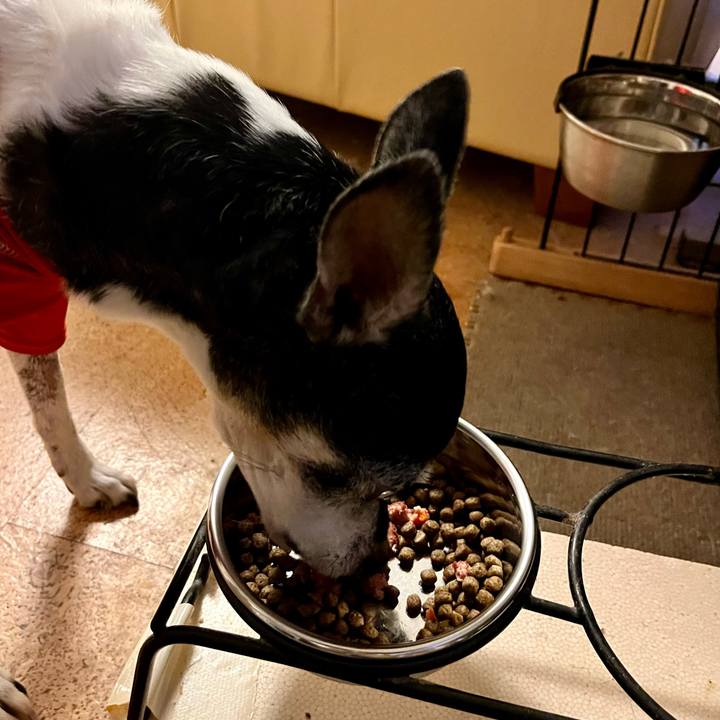 505c8e88 8a08 4667 951b d6b26d04709c 1655114849397