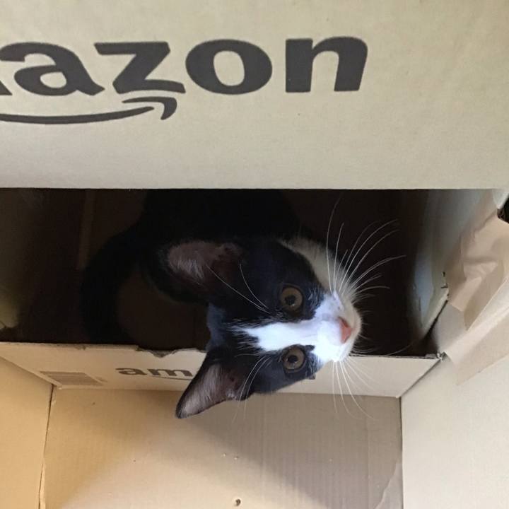 505cab92 57f1 42c6 9f92 94a660626fb1 1628059857625