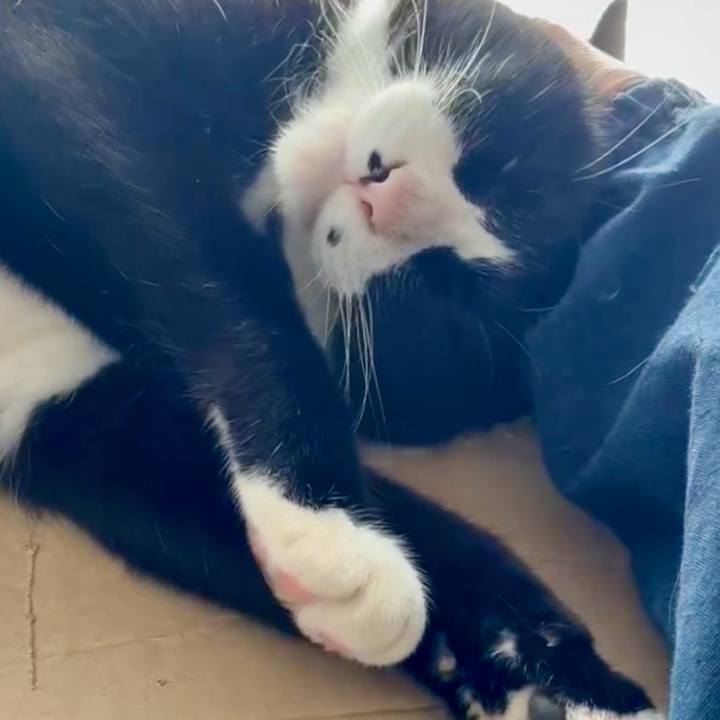 505cb01f 832f 4655 a50c 26a4948bd5ea 1766025352950