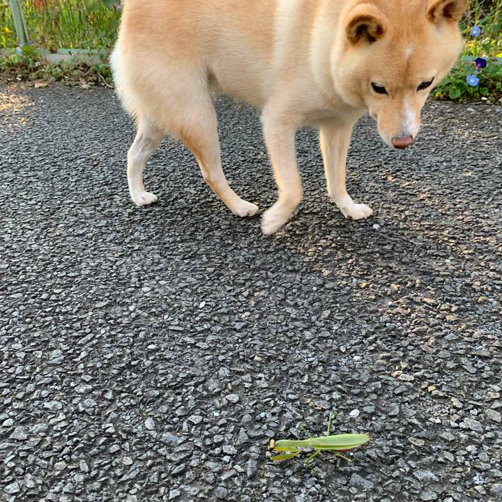 505cb70a 2825 4e74 b026 b7a78d1aab8f 1632448228549