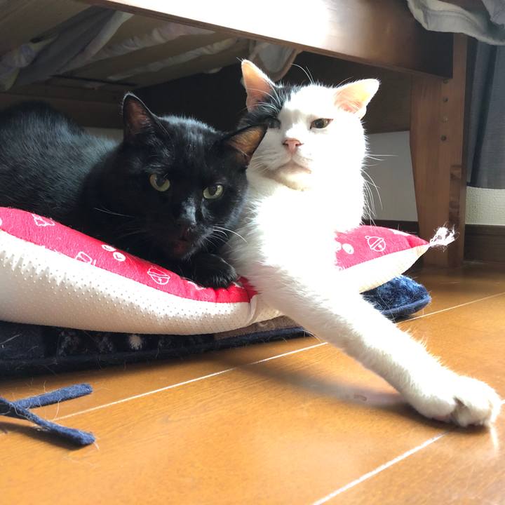 505cc914 f82f 4ea1 8660 d83794a0f93f 1666652142868