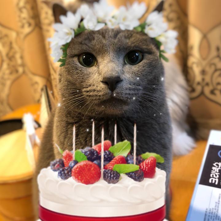 505cd0a9 4758 43e2 9d5c f00975ac9359 1578142664120