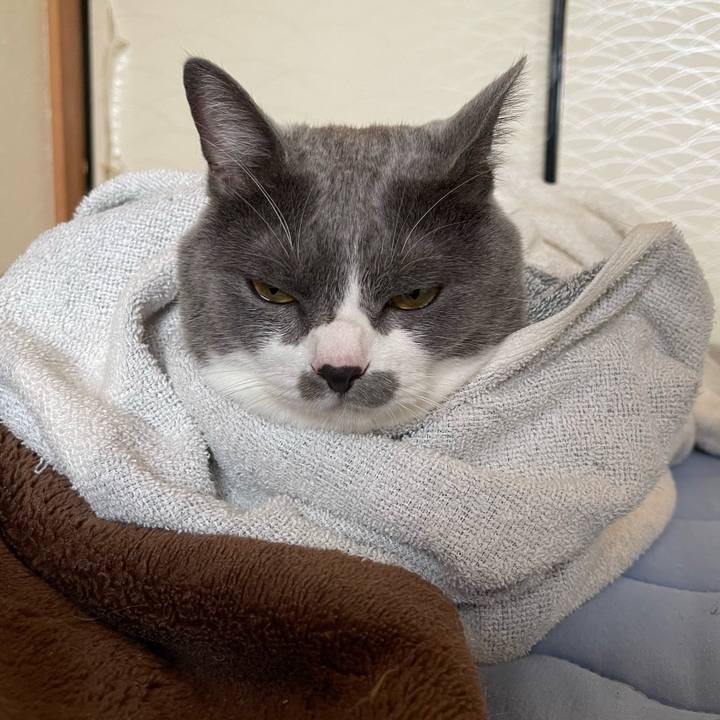 505cfa3e 39d0 42ec 8f5c c9fd791a5c3a 1660868979935