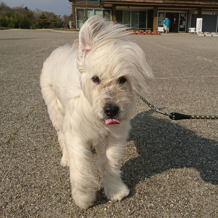 505d0396 11d7 4b6d 94dc 1a2f92239592 1588145978557