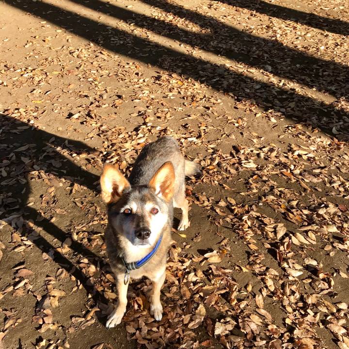 505d0c83 ad1d 449d b2d9 63daf3425ac1 1542442287142