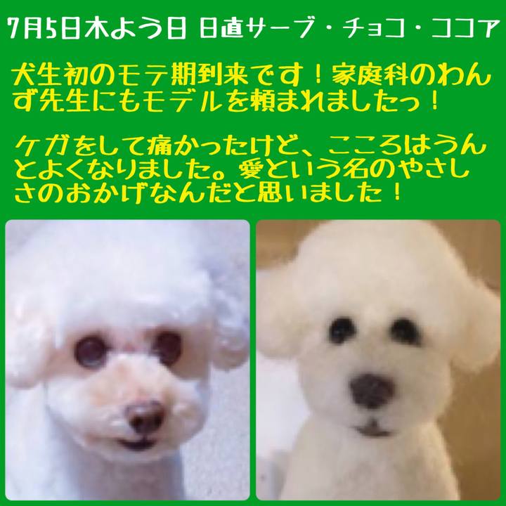 505d122a 4761 4c11 808f 46238f48bf31 1530757522773