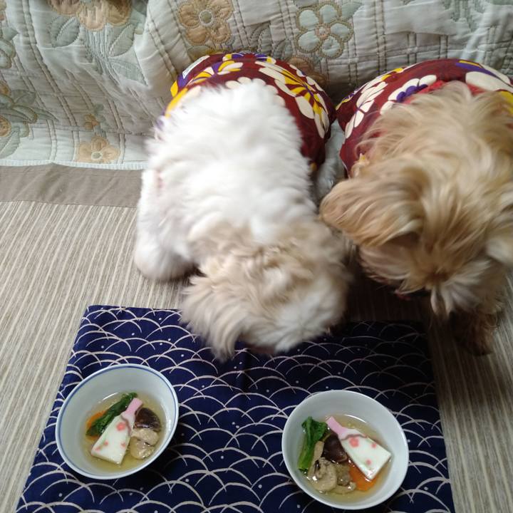 505d8584 38dd 4534 aa81 18128ff01cee 1609461484898