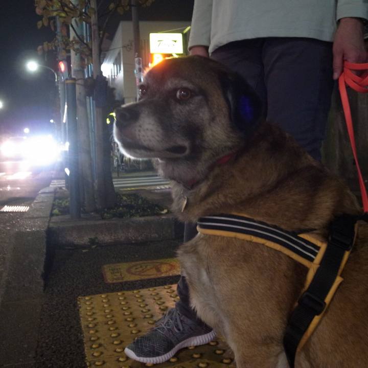 505d98bc 489b 4bd2 b0ce a6b44297caa4 1590886585180