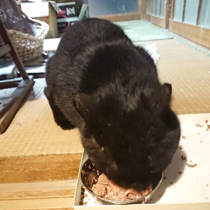 505dab14 8e4f 4907 8316 2b291915119e 1617016320949