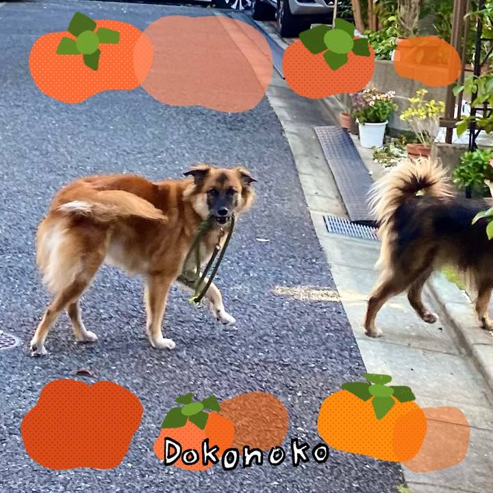 505dbf8e 8ae3 4545 a573 4aab040720ec 1761661136952