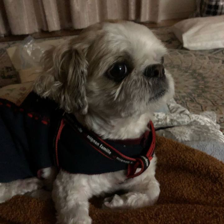 505dcef1 dfcc 491e 80f8 124d77441f77 1578273631277