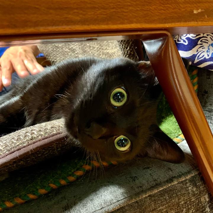 505e349d 4e0c 47b5 a500 dfb360c57257 1659258344208