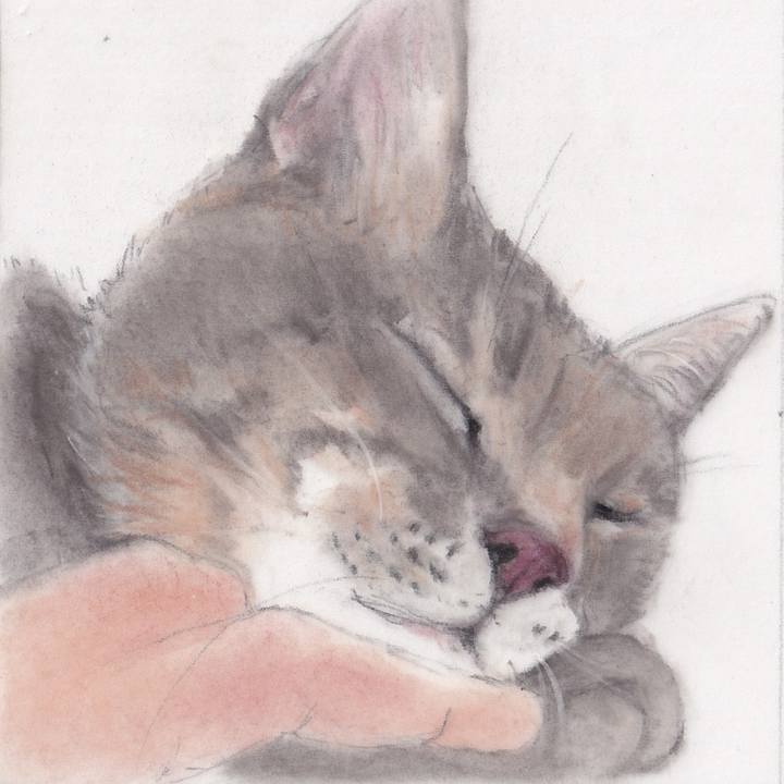 505ea241 b91b 46ee 9bf0 1c8ccbc1e8be 1743851325345